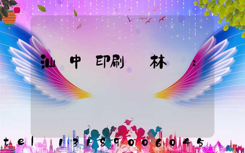 汕頭中興印刷廠 林偉國